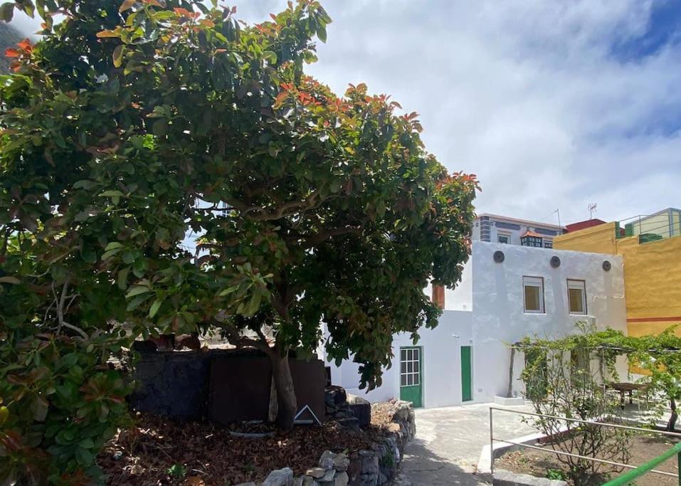 Villa La Casa Del Aguacate à Sabinosa Extérieur photo