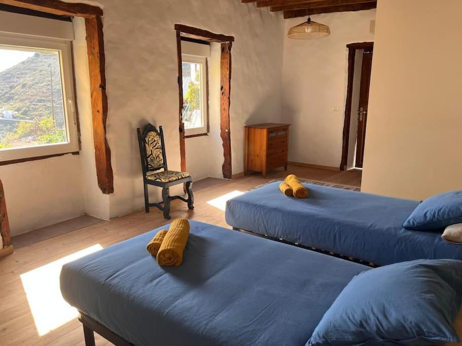 Villa La Casa Del Aguacate à Sabinosa Extérieur photo